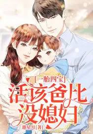 《一胎四宝：活该爸比没媳妇》小说封面