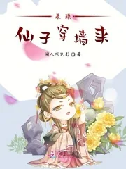 《暴躁仙子穿墙来》小说封面