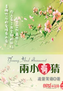 《两小有猜》小说封面
