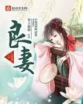 《良妻》小说封面