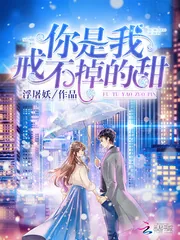 《你是我戒不掉的甜》小说封面