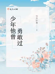 《少年他曾勇敢过》小说封面