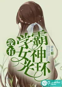 《我有学霸女神光环》小说封面