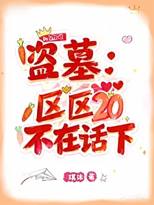 《盗墓：区区20，不在话下！》小说封面