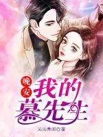 《晚安，慕先生》小说封面