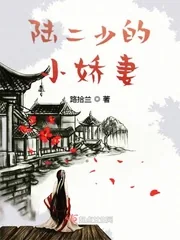 《陆二少的小娇妻》小说封面