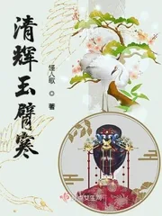 《清辉玉臂寒》小说封面