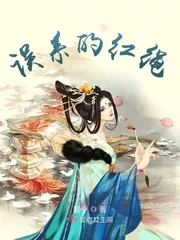 《误系的红绳》小说封面