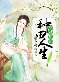 《穿越妞的种田人生》小说封面