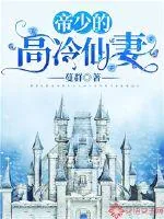 《帝少的高冷仙妻》小说封面