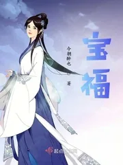 《宝福》小说封面