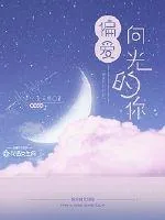 《偏爱向光的你》小说封面