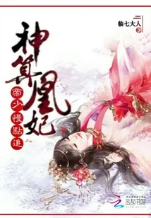 《神算凰妃，帝少慢点追》小说封面