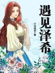 《遇见泽希》小说封面