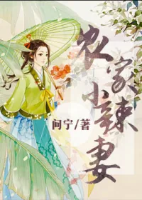 《农门小辣妻》小说封面