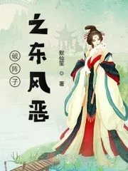 《破阵子之东风恶》小说封面