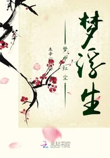 《梦中红尘梦浮生》小说封面