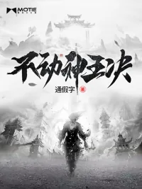 《不动神王决》小说封面