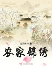 《农家锦绣》小说封面