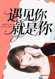 《遇见你就是你》小说封面