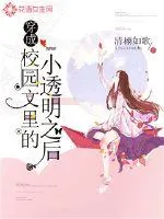 《穿成校园文里的小透明之后》小说封面