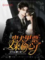 《忠犬男票又来偷心了》小说封面