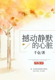 《撼动静默的心脏》小说封面