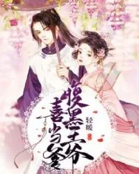 《齐妃云南宫夜》小说封面