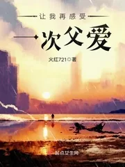 《让我再感受一次父爱》小说封面