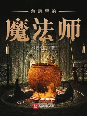 《角落里的魔法师》小说封面