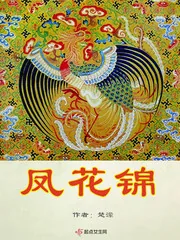 《凤花锦》小说封面