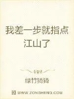《我差一步就指点江山了》小说封面