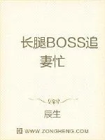 《长腿BOSS追妻忙》小说封面