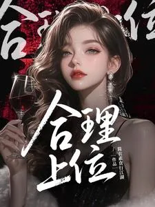 《合理上位》小说封面