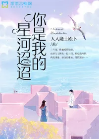 《你是我的星河迢迢》小说封面