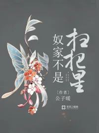 《奴家不是扫把星》小说封面