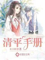 《清平手册》小说封面