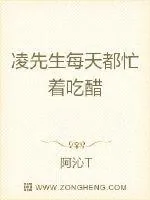 《凌先生每天都忙着吃醋》小说封面