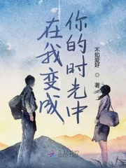 《在我变成你的时光中》小说封面