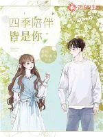 《四季陪伴皆是你》小说封面