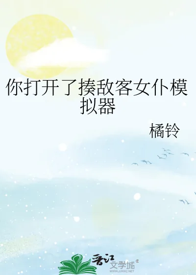 《你打开了揍敌客女仆模拟器》小说封面