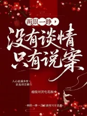 《两眼一睁,没有谈情只有说案》小说封面