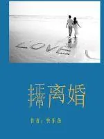 《非正常离婚》小说封面