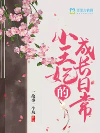 《小王妃的成长日常》小说封面