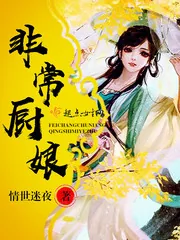 《非常厨娘》小说封面