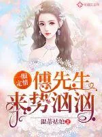 《一眼定情：傅先生来势汹汹》小说封面