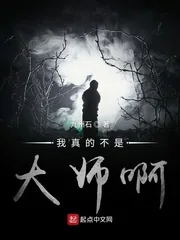《我真的不是大师啊》小说封面