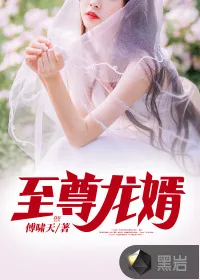 《至尊龙婿》小说封面