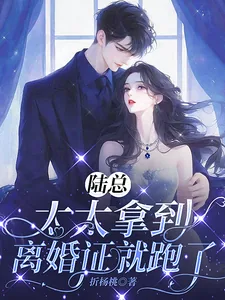 《陆总，太太拿到离婚证就跑了》小说封面