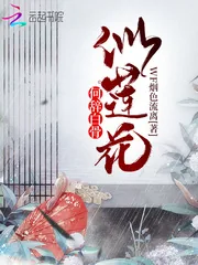 《何辞白骨似莲花》小说封面